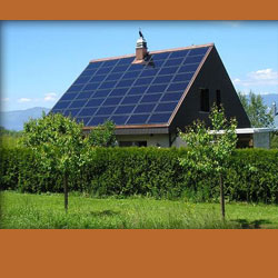 solar panels on the roof of a house with trees and hedging in foreground