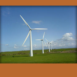 wind turbines in a large field